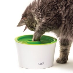 Catit 43741 Multi Feeder Çok Amaçlı Besleyici Kedi Mama Kabı - 2