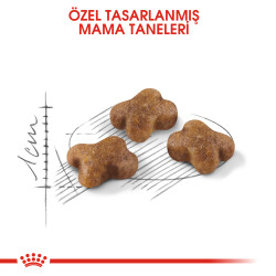 Royal Canin Kitten Yavru Kedi Maması 10 Kg - 3