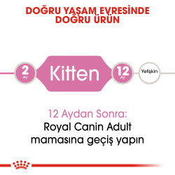 Royal Canin Kitten Yavru Kedi Maması 10 Kg - 4