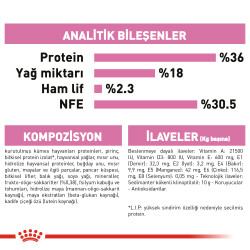 Royal Canin Kitten Yavru Kedi Maması 10 Kg - 7